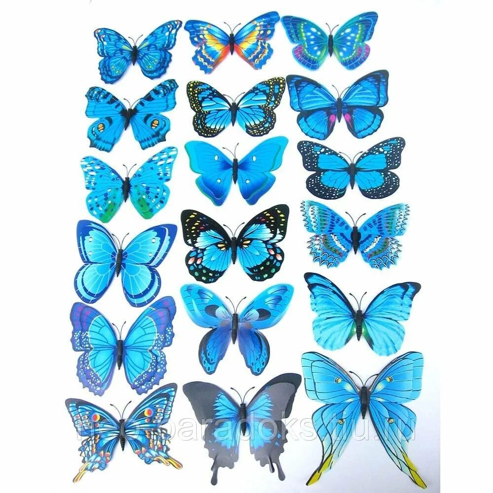 Бабочки цветные. Бабочки для вырезания цветные. Бабочки для украшение комнаты цветные. Торт «бабочки». Бабочки для торта картинки для печати