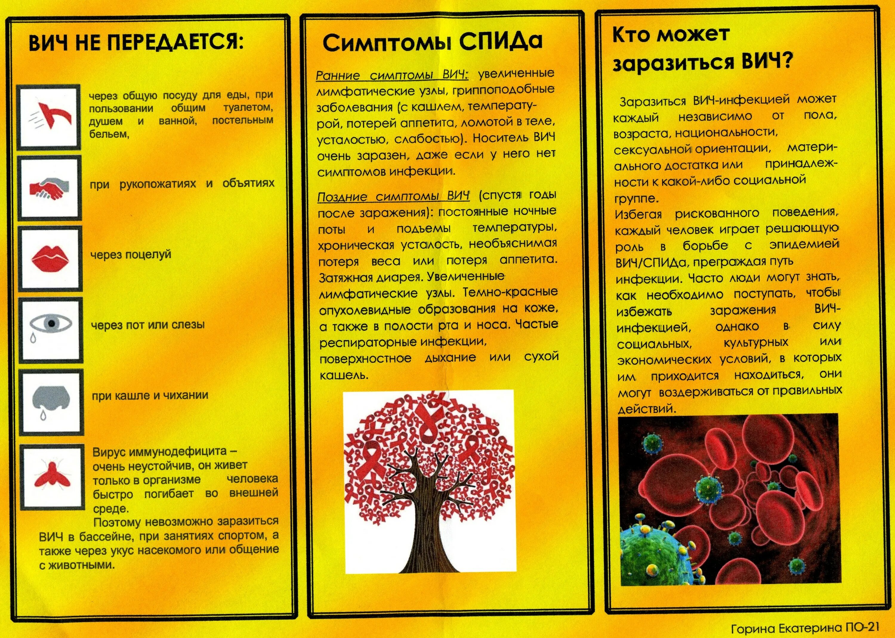 Листовка биология. Брошюра на тему ВИЧ инфекция. Буклет. Буклет ВИЧ СПИД. Буклет на тему.