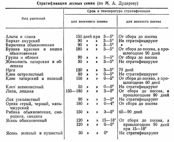 Посев хвойных пород необходимо проводить. Семена требующие стратификации таблица. Сроки стратификации семян. Сроки стратификации семян таблица. Стратификация семян древесных растений.