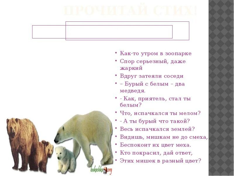 Я то что красит медведей