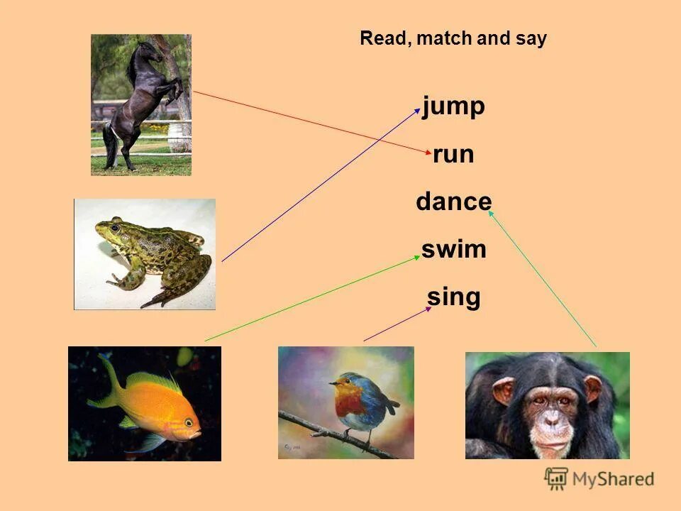 We can sing. The Bird can Sing and the girl can Swing. Run Jump Swim Sing. We can Dance we can Sing. We can Sing ответ.