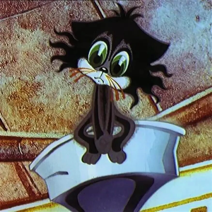 Чучело мяучело фото. Котенок чучело мяучело. Чучело-мяучело мультфильм 1982. Чучело мяучело фото. Чучело-мяучело мультфильм 1982.