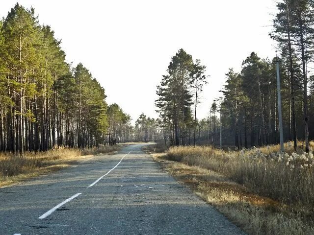 Город Свободный 20 Амурская область. Свободный Амурская область ВЧ 71544. Свободный 20 Амурская область ВЧ 33983. Свободный-20 Амурская область фото.