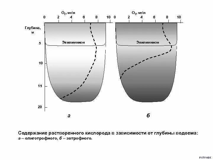 Содержание кислорода в воде в зависимости от температуры. Эпилимнион. Концентрация растворенного кислорода. Содержание кислорода в воде в зависимости от глубины. Растворимый кислород в воде