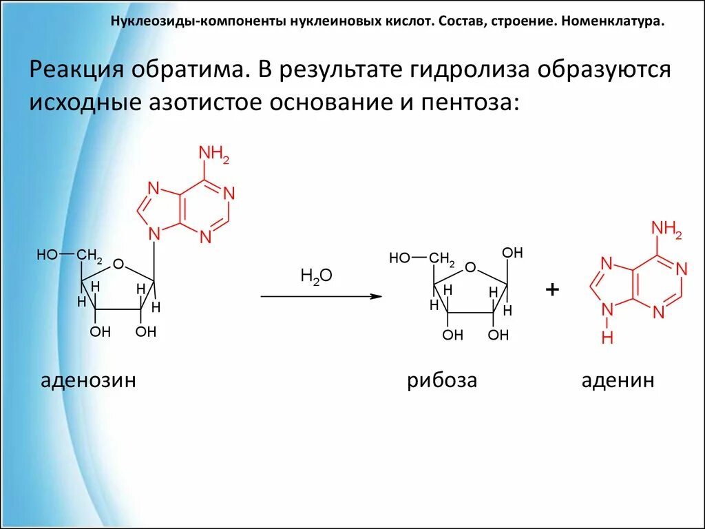 Нуклеиновые кислоты реакции