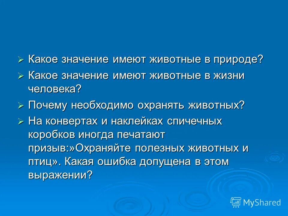 Какие значения имеют опыты. Значение животных в жизни человека. Значение животных в природе. Значение животных в природе и для человека. Значимость животных в жизни человека.