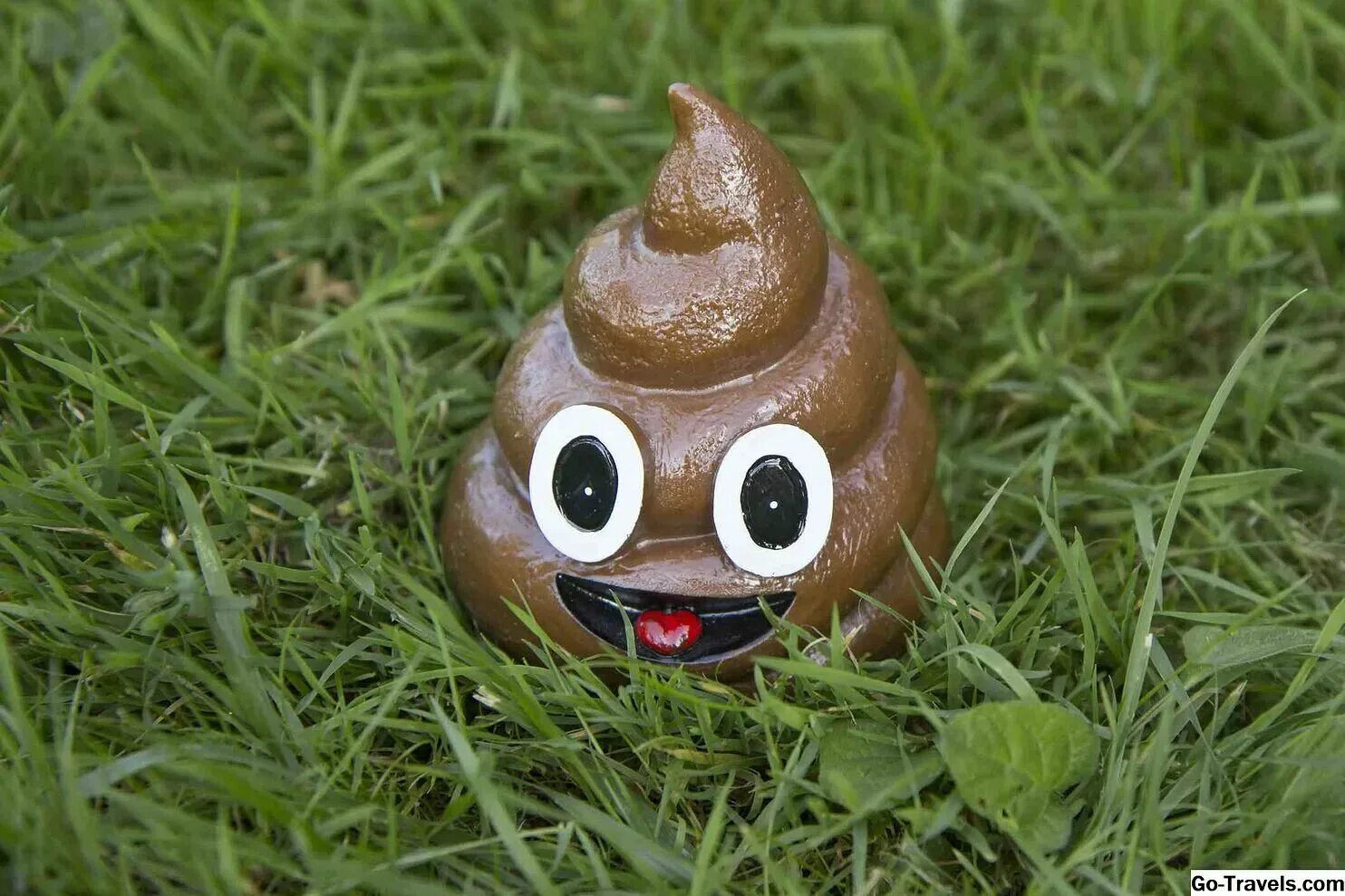 Смешная фотка какашки