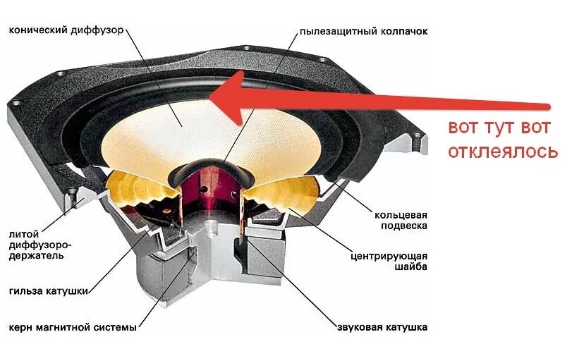 Что находится в колонке эстрадной внутри корпуса SVEN MS 1820 review YouTube