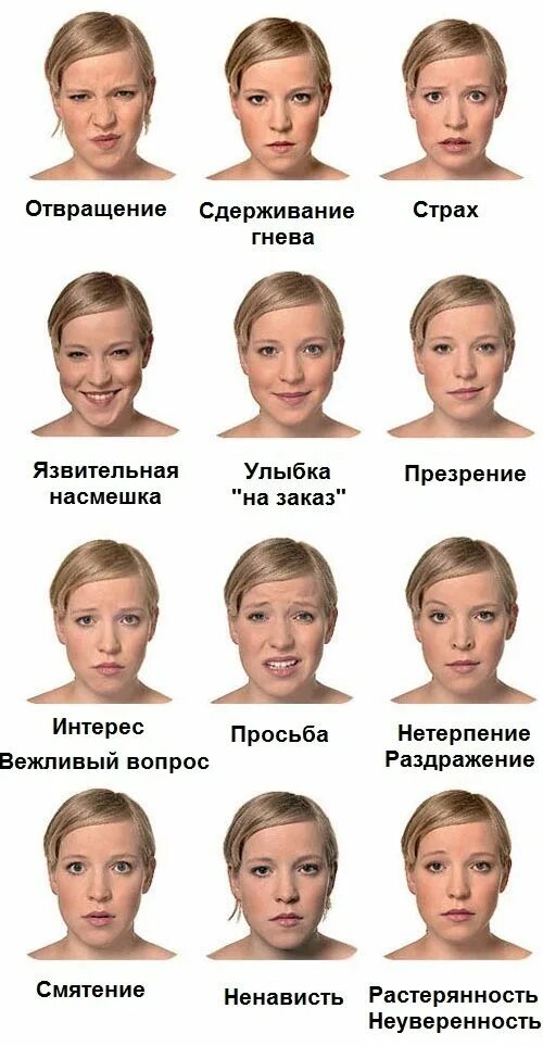 Эмоции на б. Эмоции мимика лица с описанием. различные выражения лица. выражения лица эмоции. выражение лица.