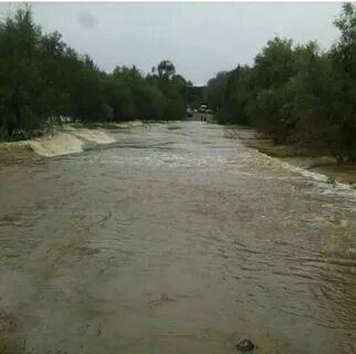 Погода в приморском крае в новопокровке