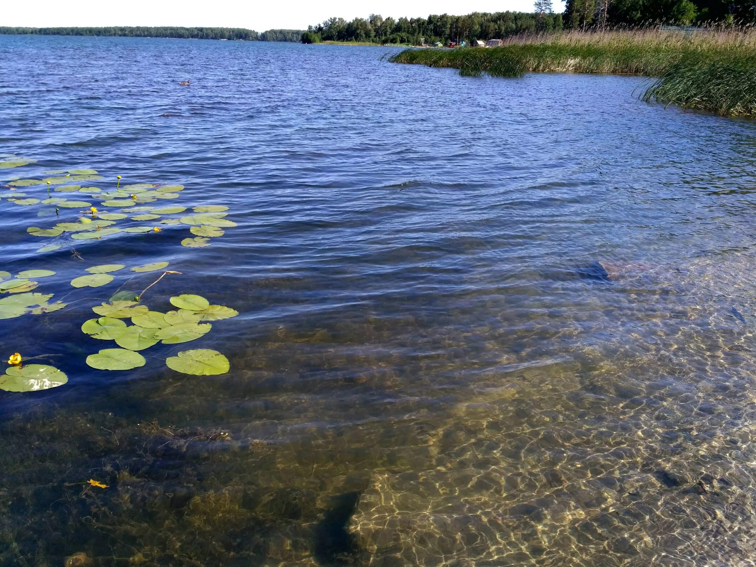 Озеро акакуль сайт. Озеро Акакуль. Акакуль Челябинская. Акакуль озеро пляж.