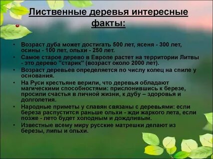 Факты о лесе