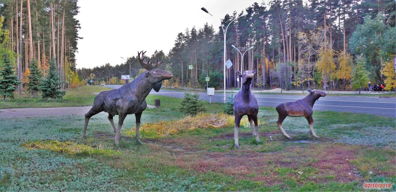 Пензенский лось. Памятник лосям Заречный Пензенская область. Лоси в Заречном Пензенской области. Город Заречный Пензенская область лоси. Заречный памятник лосю.