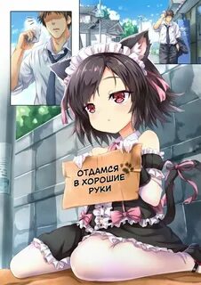 Down the neko hole