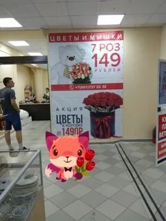 Баннер вологда