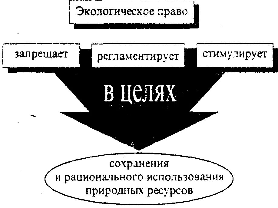 Экологическое право курсовая. Экологическое право. Экологическое право схема. Экологическое законодательство схема.