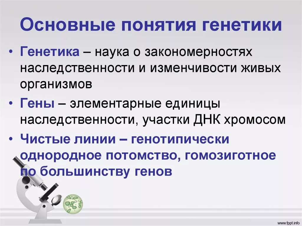 Урок генетика наука о наследственности и изменчивости. Основные понятие гинетии. Основные понятия генетики. Генетика основные понятия. Основные генетические термины.