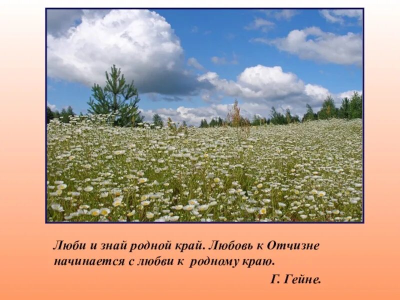 Родной край люби и знай. Любовь к родине начинается с любви к природе. Люби и знай родной свой край. Любовь к родине и родному краю. Родные края аргументы