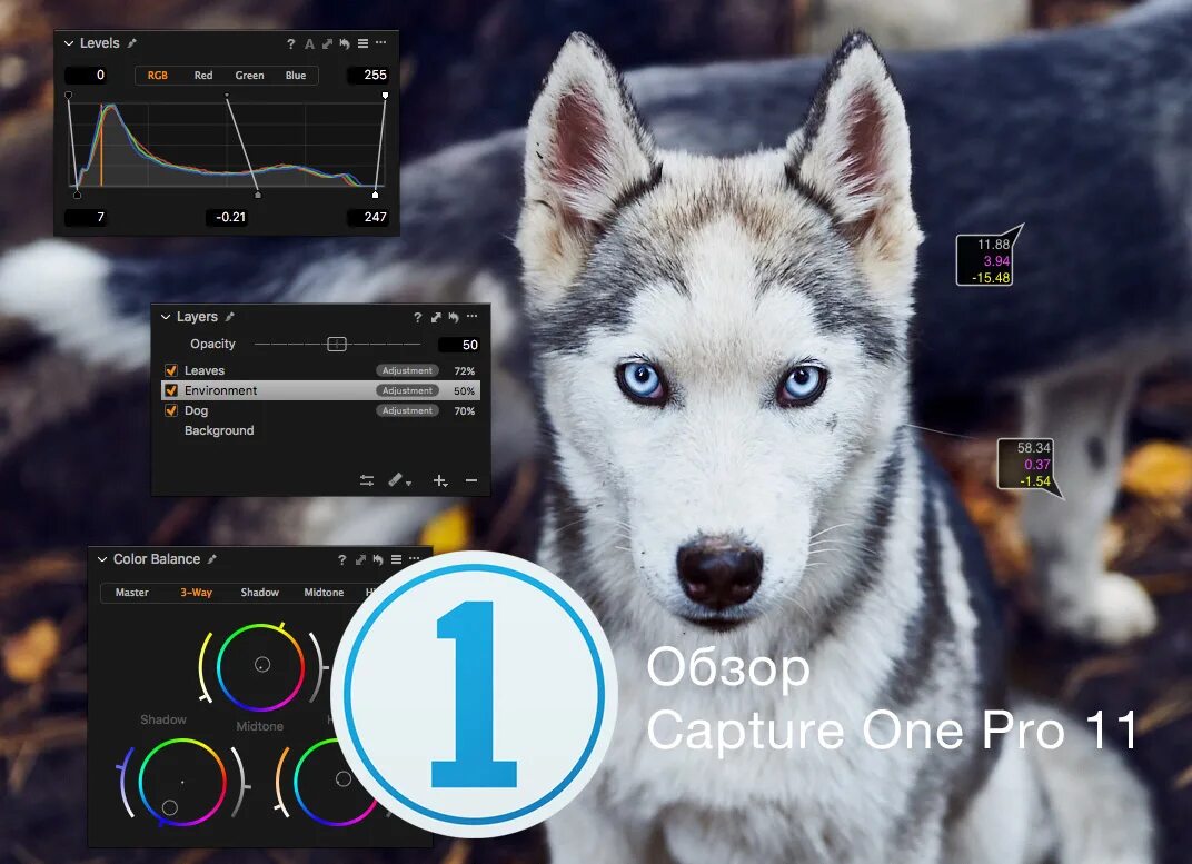 Capture one Pro Pro 21. Capture one Pro Fujifilm. Программа capture one. Capture one 2023. Https n3 lordserialz1 pro