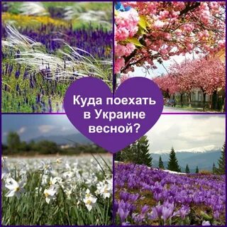 Куда весной