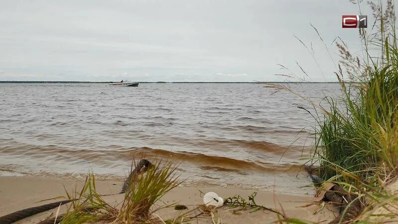 На водохранилище в районе ГРЭС-2 в Сургуте утонула женщина Stribuna
