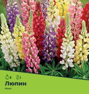 Люпины микс