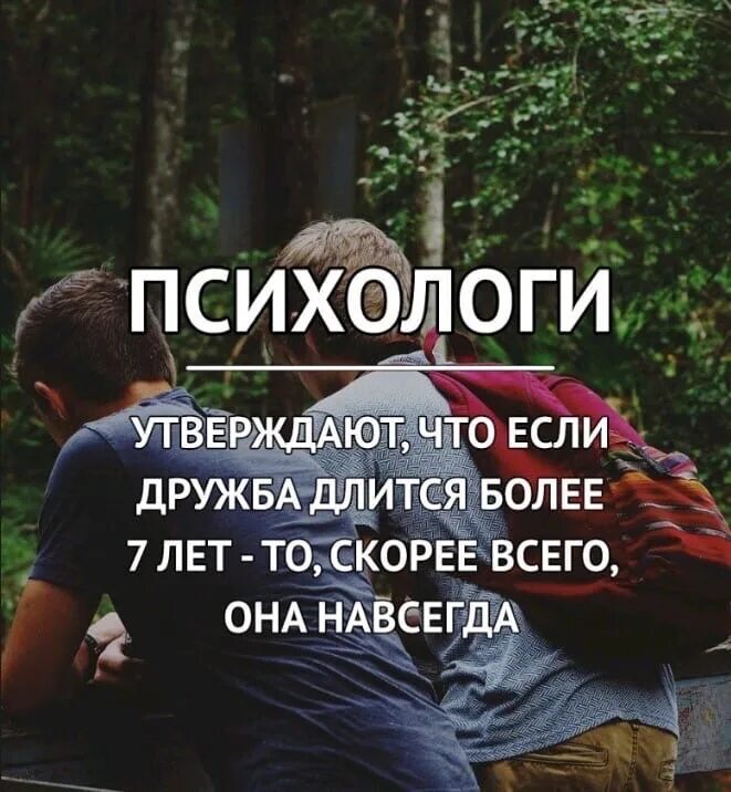 Более 7 лет в данном
