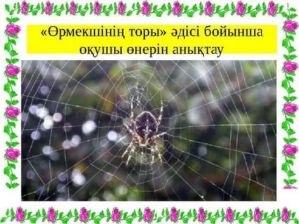 Қала көшелерінде мастурбация жасау