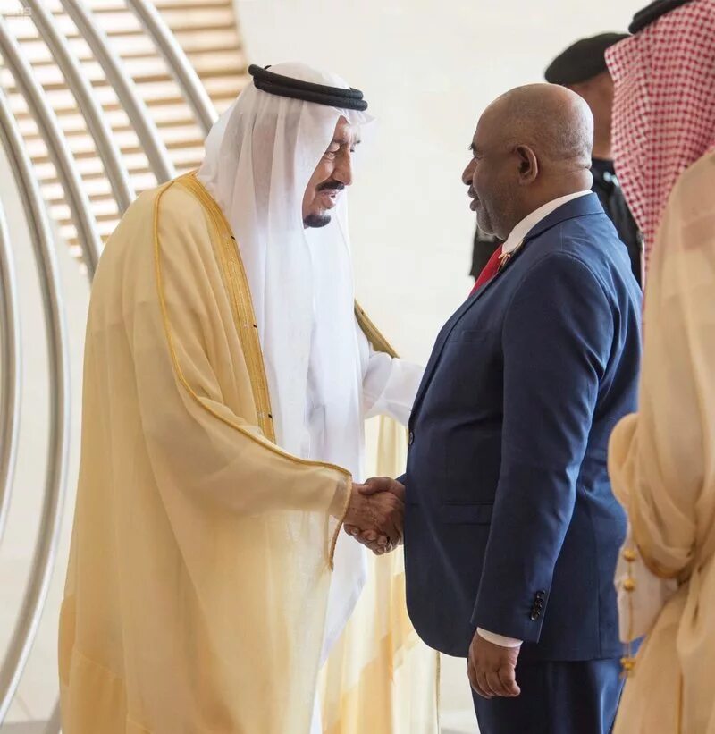 Система арабских стран. Объединение арабских государств. Оаэ абу даби наследный принц. Арабские дипломаты. Совет арабских государств персидского залива.