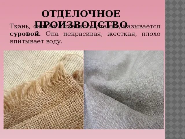 Какая ткань плохая. Строение клеток образовательной ткани у растений. Особенности строения соединительной ткани кость. Ткани человека. Регенерация соединительной ткани.