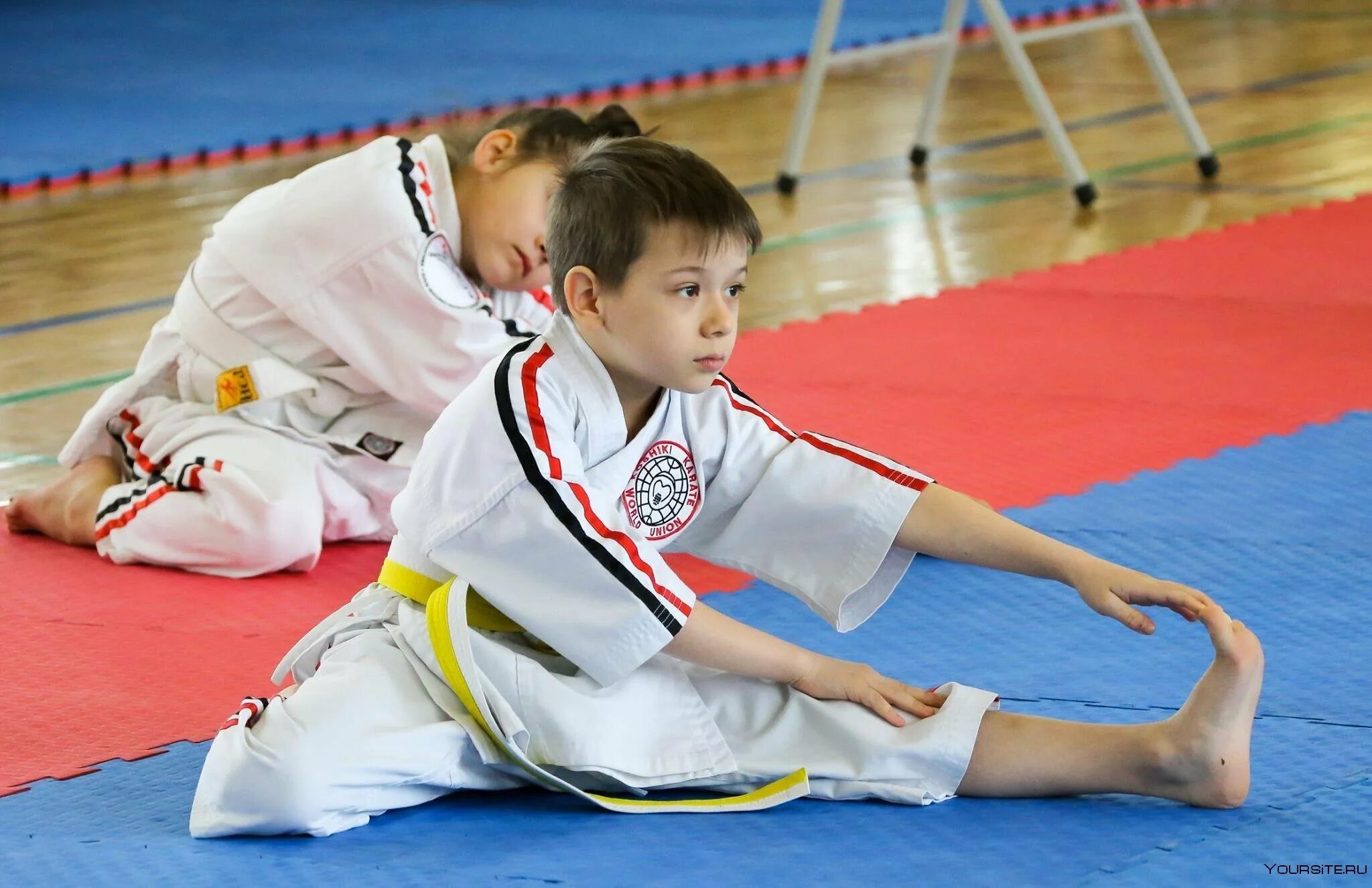 Каратэ киокушинкай дети. Каратэ WKF Uzbekistan. Дети каратисты. Единоборства для детей.