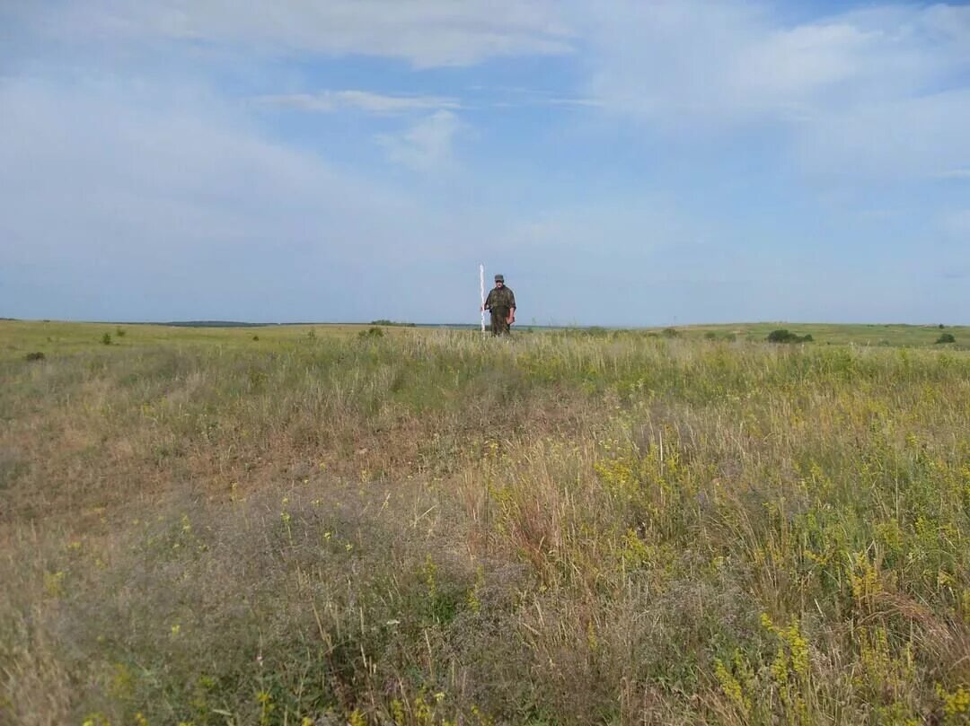 Погода большой рельне саратовской области лысогорского района. Село большая Дмитриевка Лысогорский район Саратовская область. Курганный Ростовская область. Курганный могильник 2 у с. большие Харлуши. Урочище Липяги.