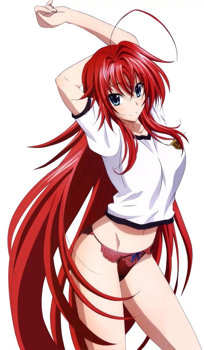 Хай вайфу. Rias Gremory. Аниме демоны старшей школы Риас Гремори. DXD Риас.