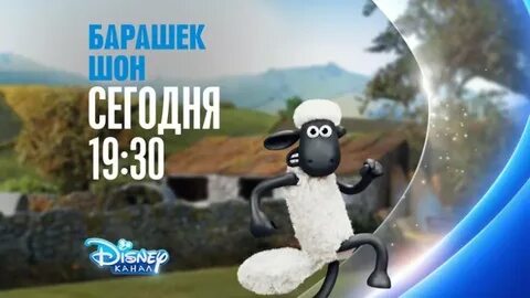Канал барашек