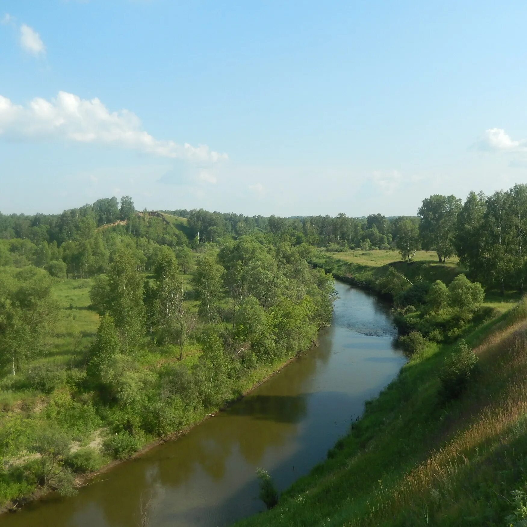 Большая речка Алтайский край. Река алей Алтайский край. Село большая речка Алтайский край. Алтайский край Троицкий район станция большая речка.