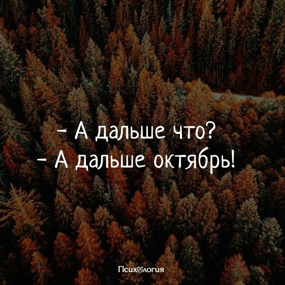 А дальше зима. А дальше что а дальше зима картинки. Чем дальше в будущее смотрим тем больше прошлым дорожим. А дальше будет зима. Красивые фразы про зиму.