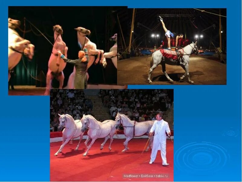 Цирк слайд. Презентация по теме цирк в подготовительной группе. Мелодия в цирке. Надпись цирк. Цирк 1 класс.