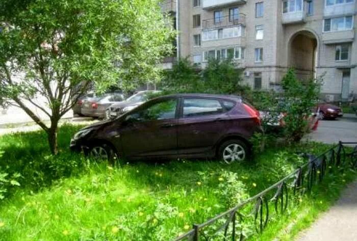 Газон для парковки автомобиля. Парковка на газоне. Парковка на газоне красноярск. Газон машина. Припарковался на газоне.