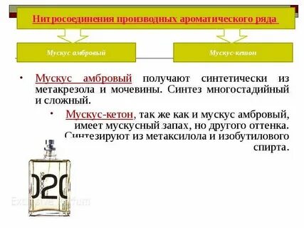 Чем пахнет мускус в парфюмерии