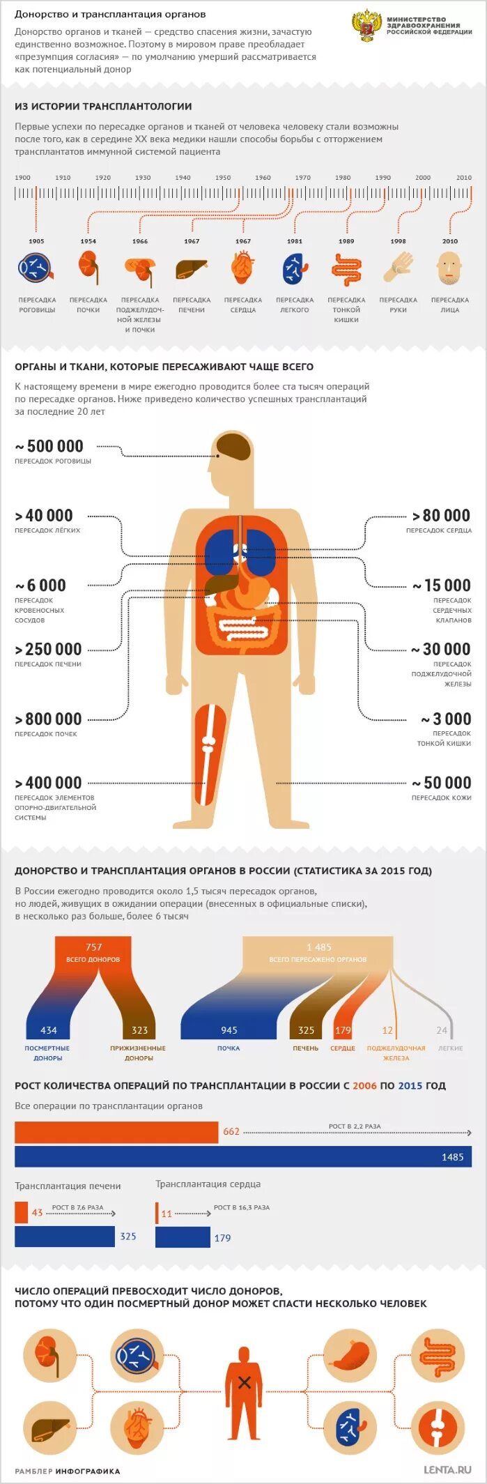 Расценки на донорские органы. Стоимость всех органов. Органы человека после смерти донорство. Пересадка донорских органов