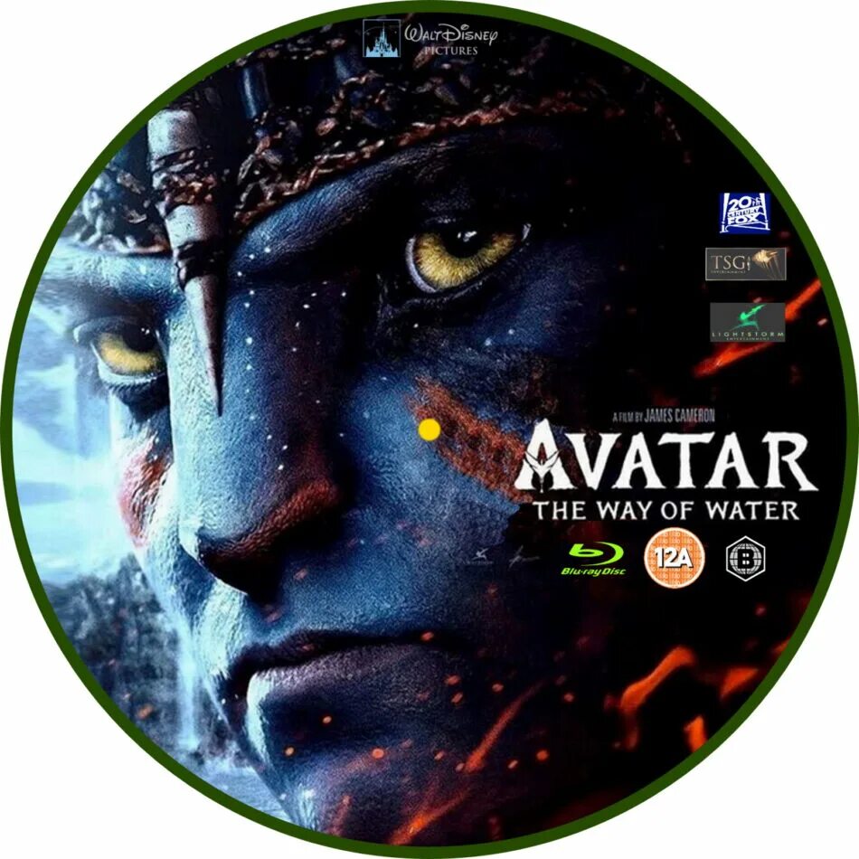 Аватар dvd диск. Сэм уортингтон джейк салли постер. Аватар cd группа. Аватар 2 диск. Диск аватара 2.
