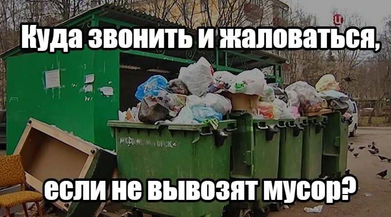 Куда в мусорку