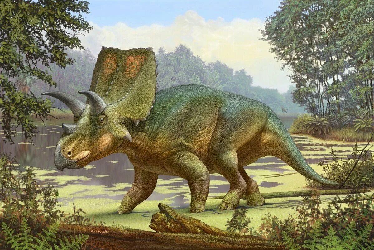 Цератопсы. Травоядные динозавры Трицератопс.