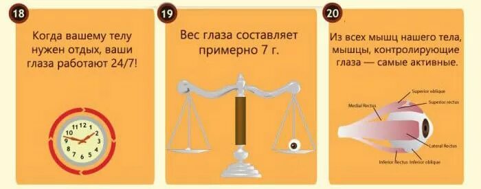 Интересные факты о глазах. Интересные факты о зрении человека. Интересные факты о зрении человека. Интересные факты о зрении человека. Интересные факты о зрении человека.