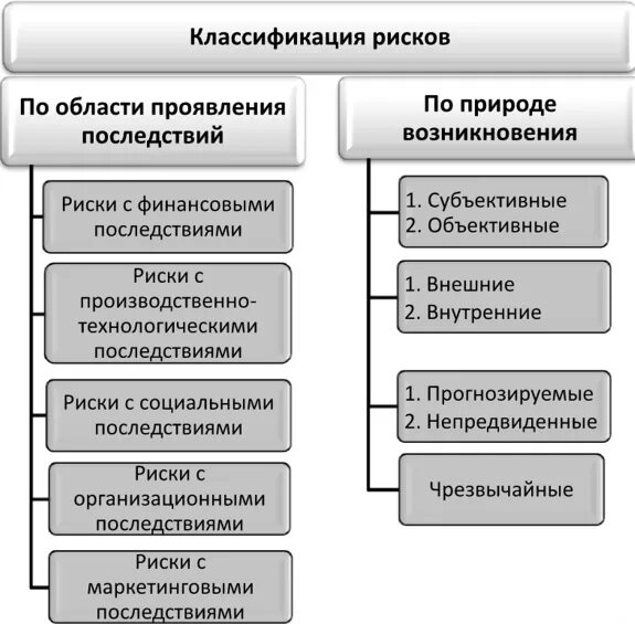 Субъекты управления риском