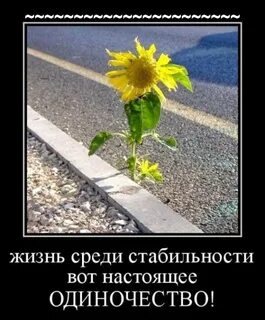Дадут высокий и стабильный