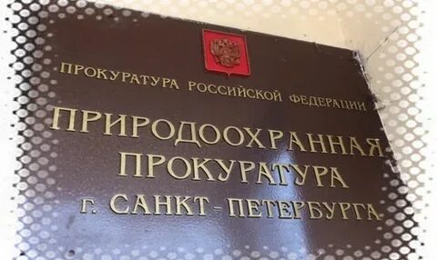 Природоохранная деятельность органов прокуратуры