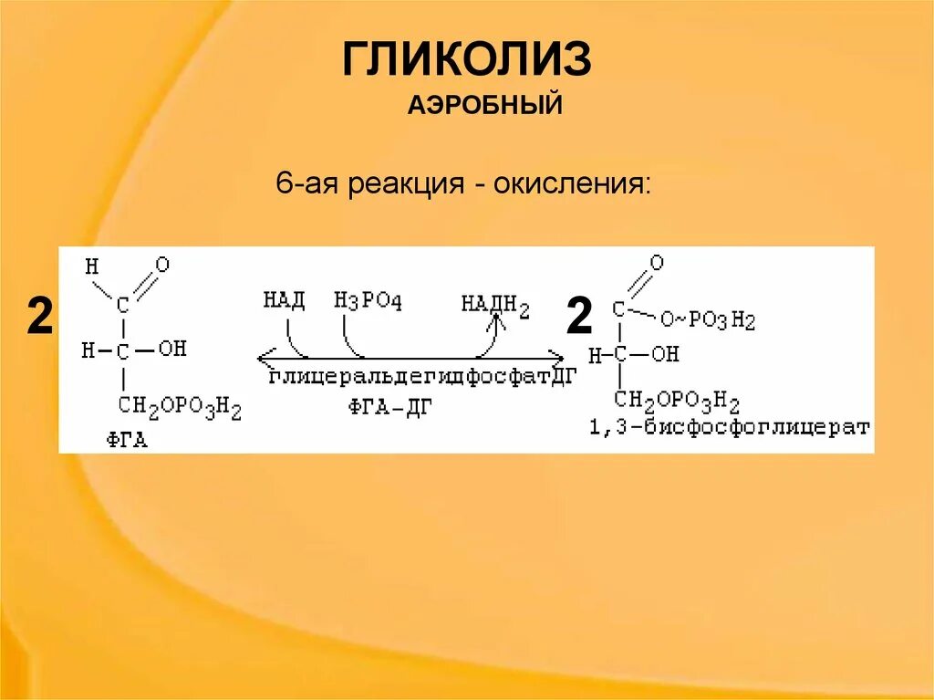 Образование атф гликолиз. Анаэробный гликолиз формула. Схема анаэробного гликолиза биохимия. Аэробный гликолиз реакции биохимия. Анаэробный гликолиз биохимия реакции.