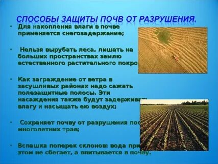 Для защиты почвы от разрушения человек