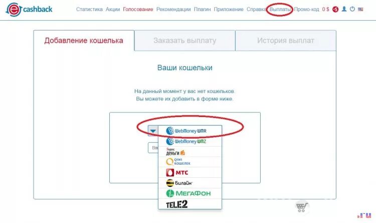 Как вывести кэшбэк на карте. Как вывести кэшбэк. Как обналичить деньги на карте кэшбэк. Как вывести кэшбэк на карту Сбербанка. Кэшбэк перевести на телефон